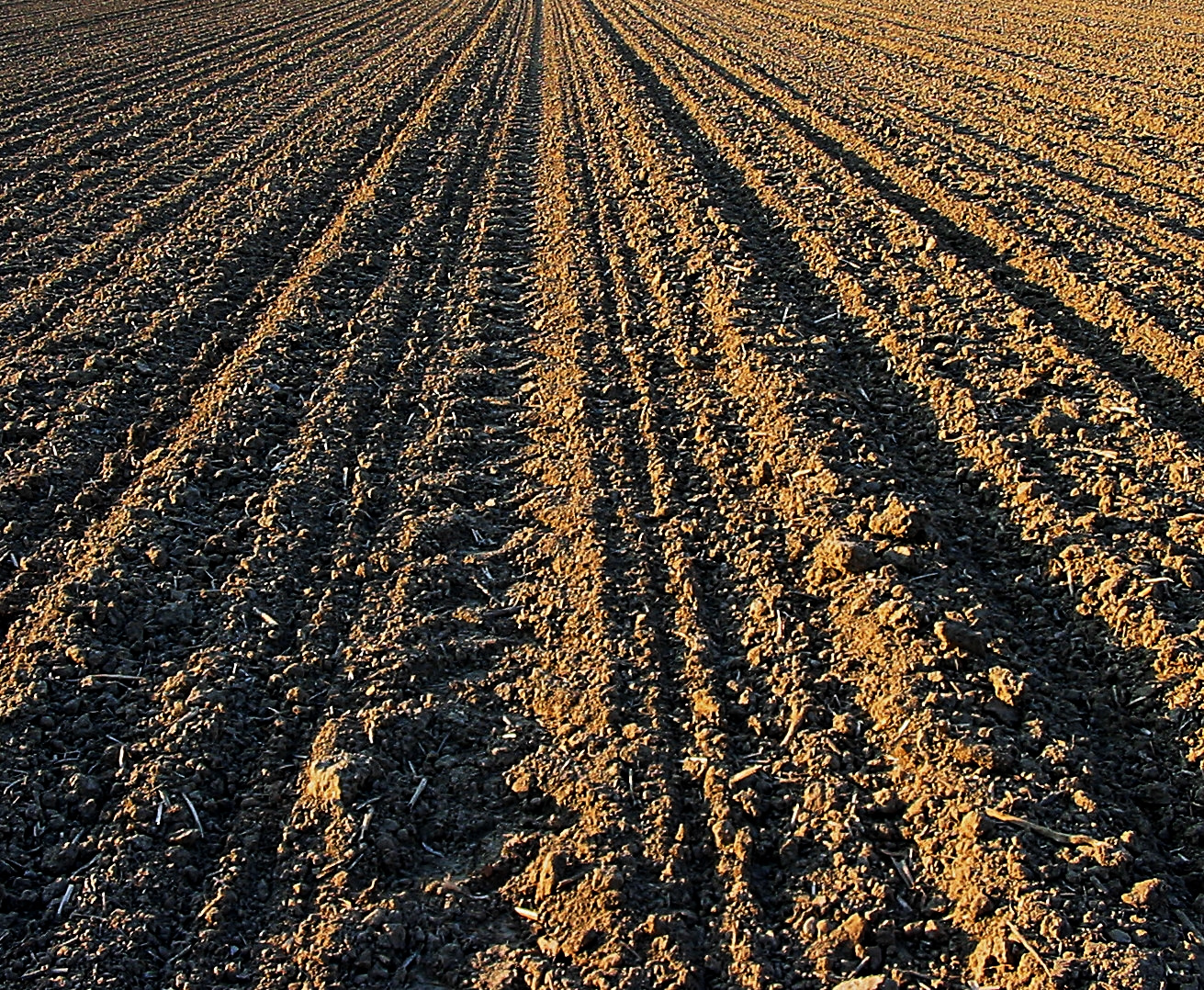 Im Märzen der Bauer den Traktor einspannt