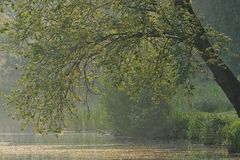Im Mai frühmorgens am See