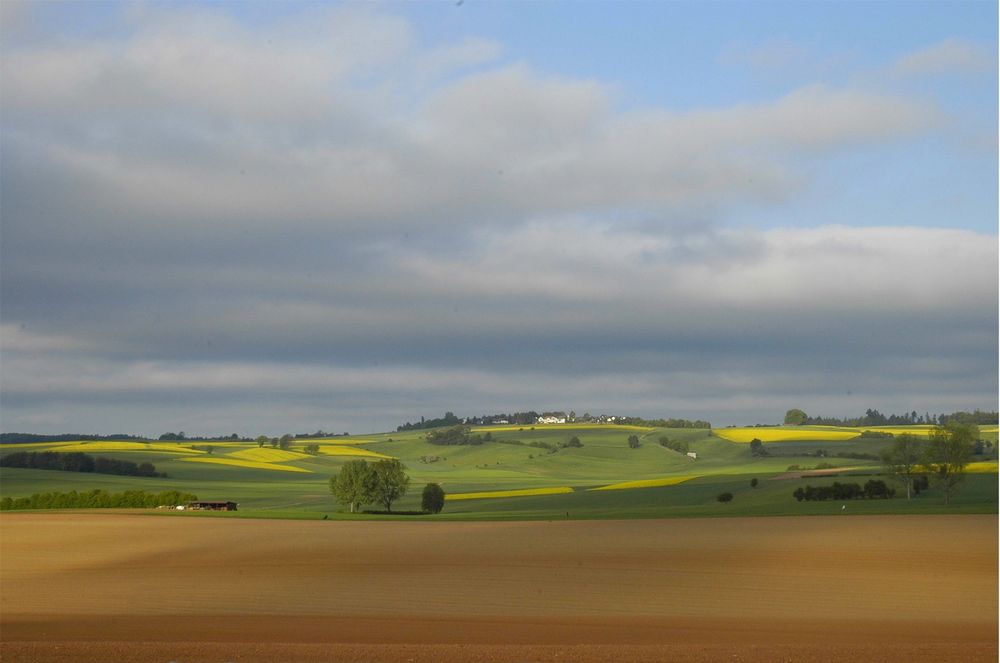 Im Mai nordöstlich von Marienhagen