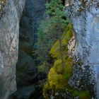 im Maligne Canyon 2