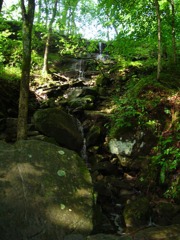 Im Mamooth Cave National Park, Kentucky, USA