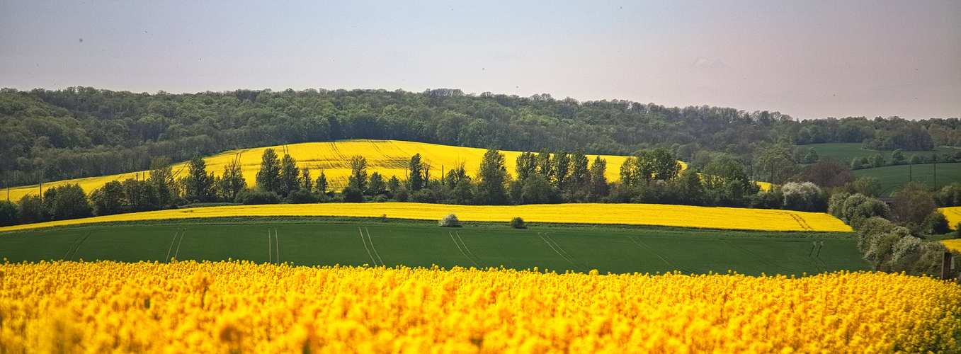 Im Mansfelder Land unterwegs