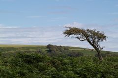 Im Margam Park