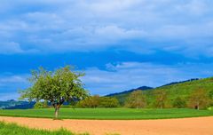 Im Markgräfler Land