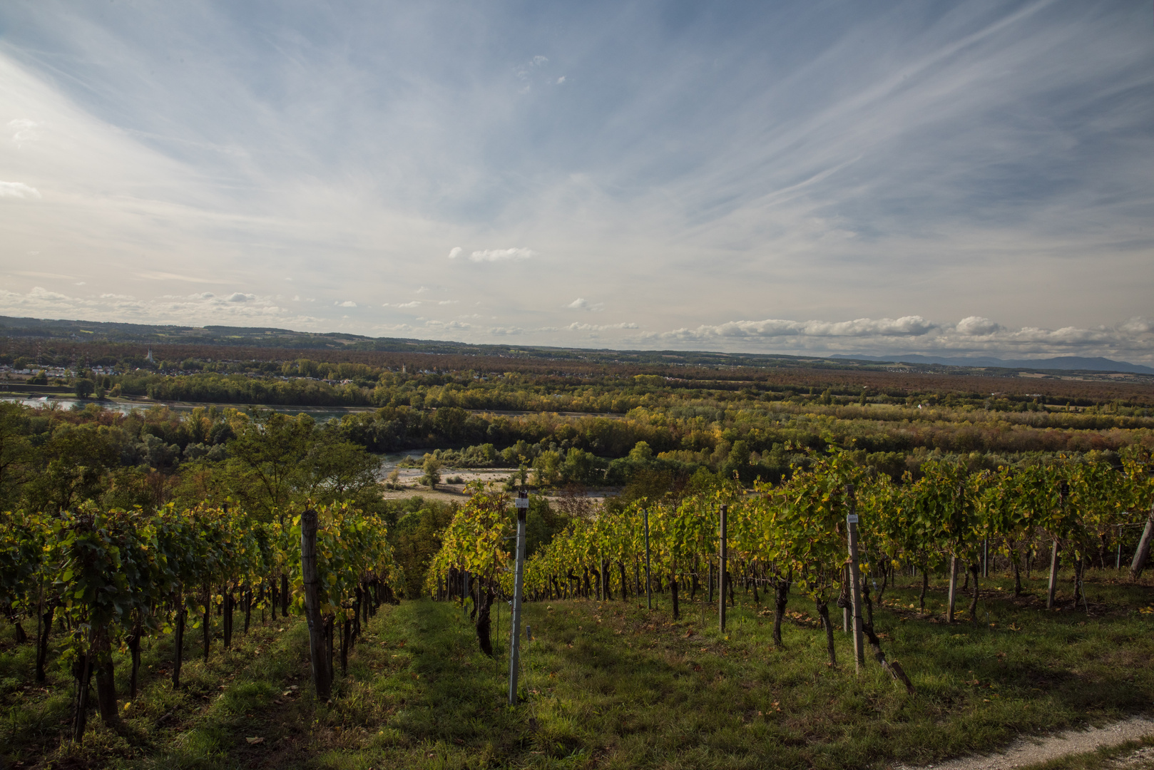 Im Markgräfler Land