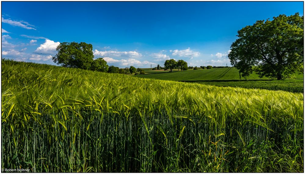 Im Markgräfler Land