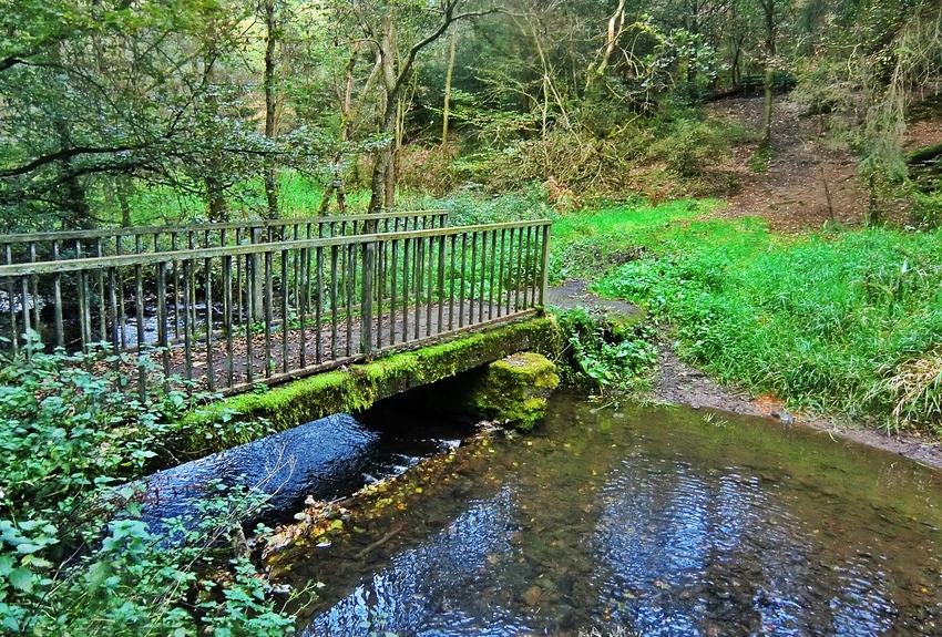 Im Marscheider Wald am Marscheider Bach - Wuppertal