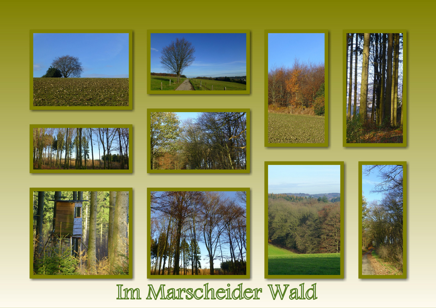 Im Marscheider Wald - Wuppertal