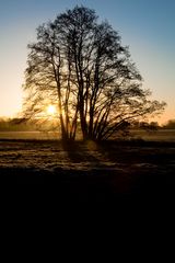 im Maschner-Moor