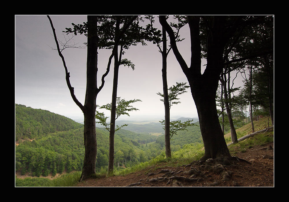 Im Matragebirge