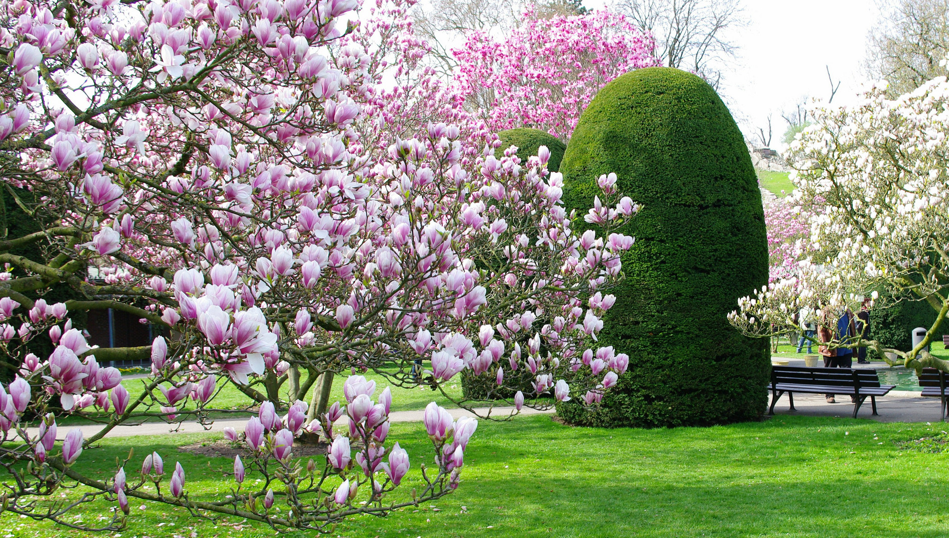 im Maurischen Garten der Stuttgarter Wilhelma