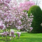 im Maurischen Garten der Stuttgarter Wilhelma