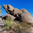 Im McDowell Mountain Regional Park bei Scottsdale