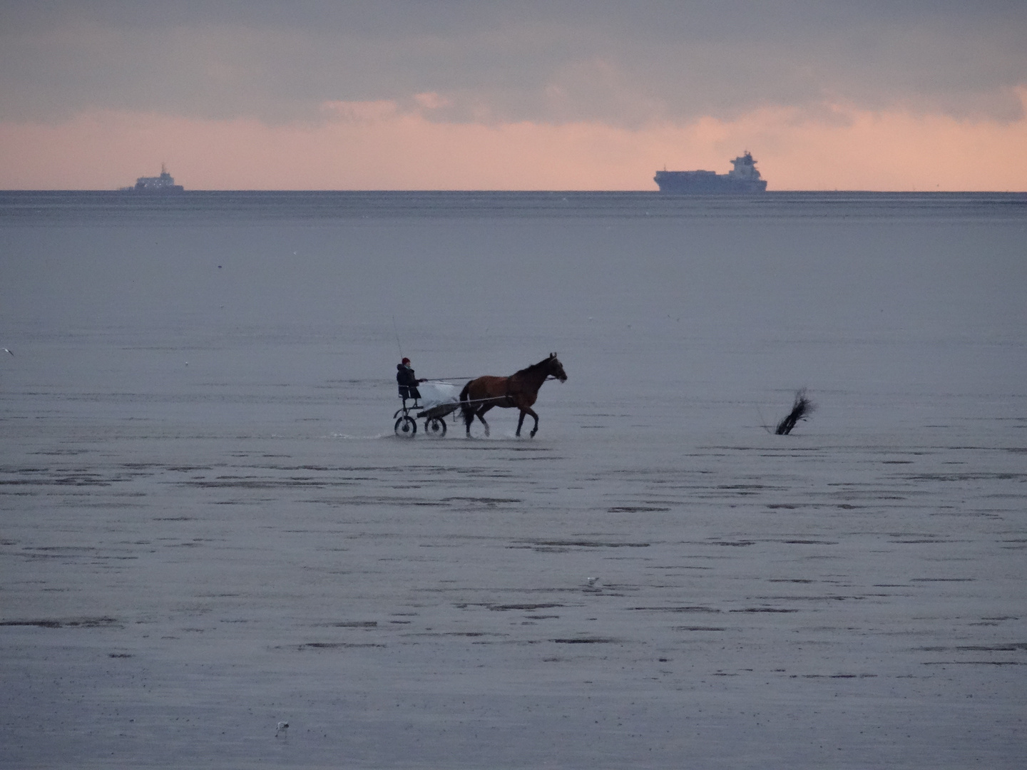 Im Meer