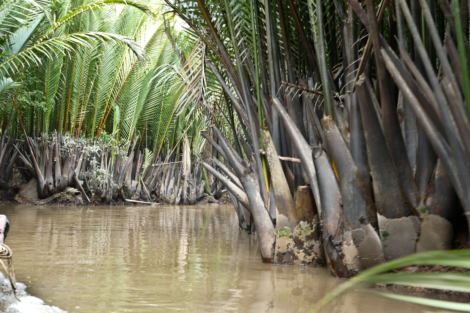 Im Mekong Delta