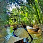 Im Mekong Delta