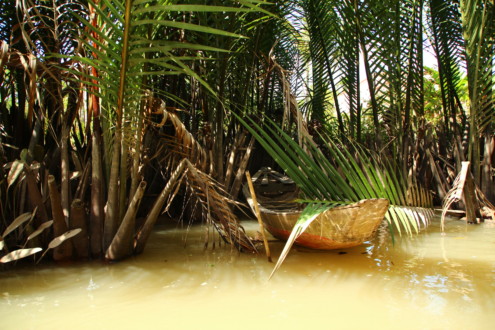 im Mekong Delta