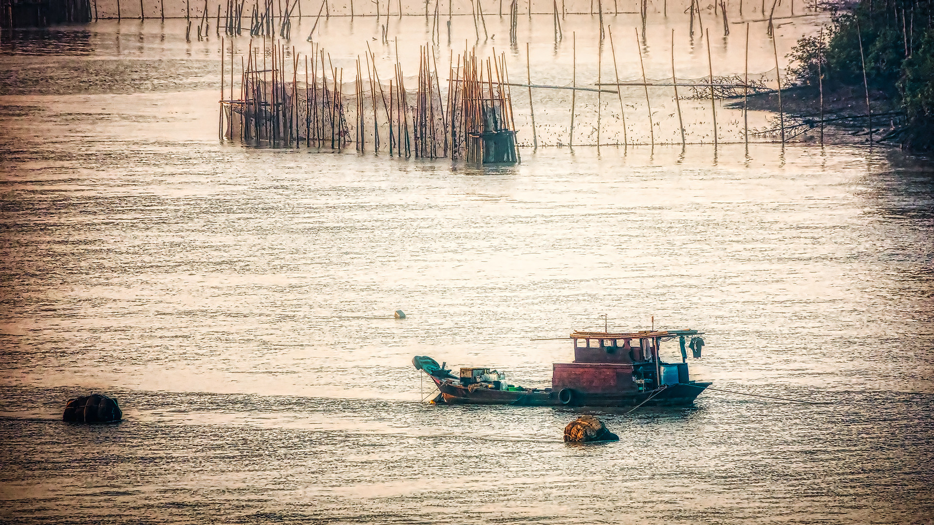 Im Mekong Delta (XVIII)