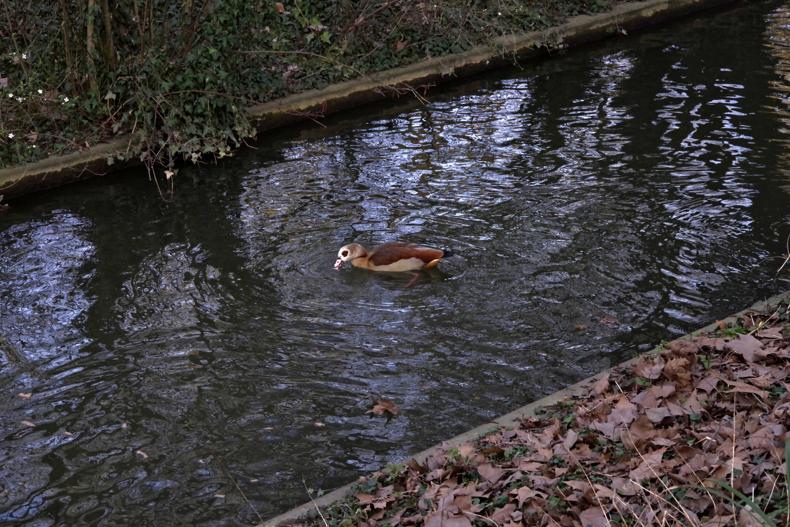 ...im Merkel-Park