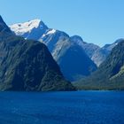 Im Milford Sound