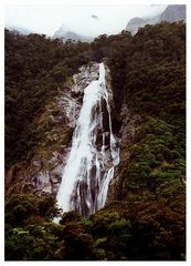 Im Milford Sound