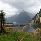 Im Milford Sound / Neuseeland