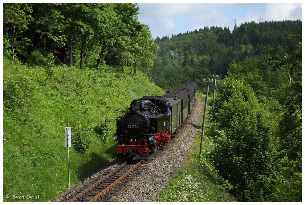 Im Mischwald bei Hammerunterwiesenthal