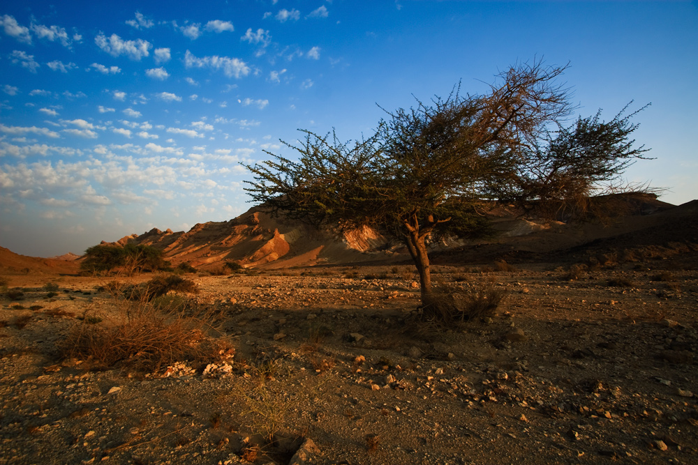 Im Mizpe Ramon Crater