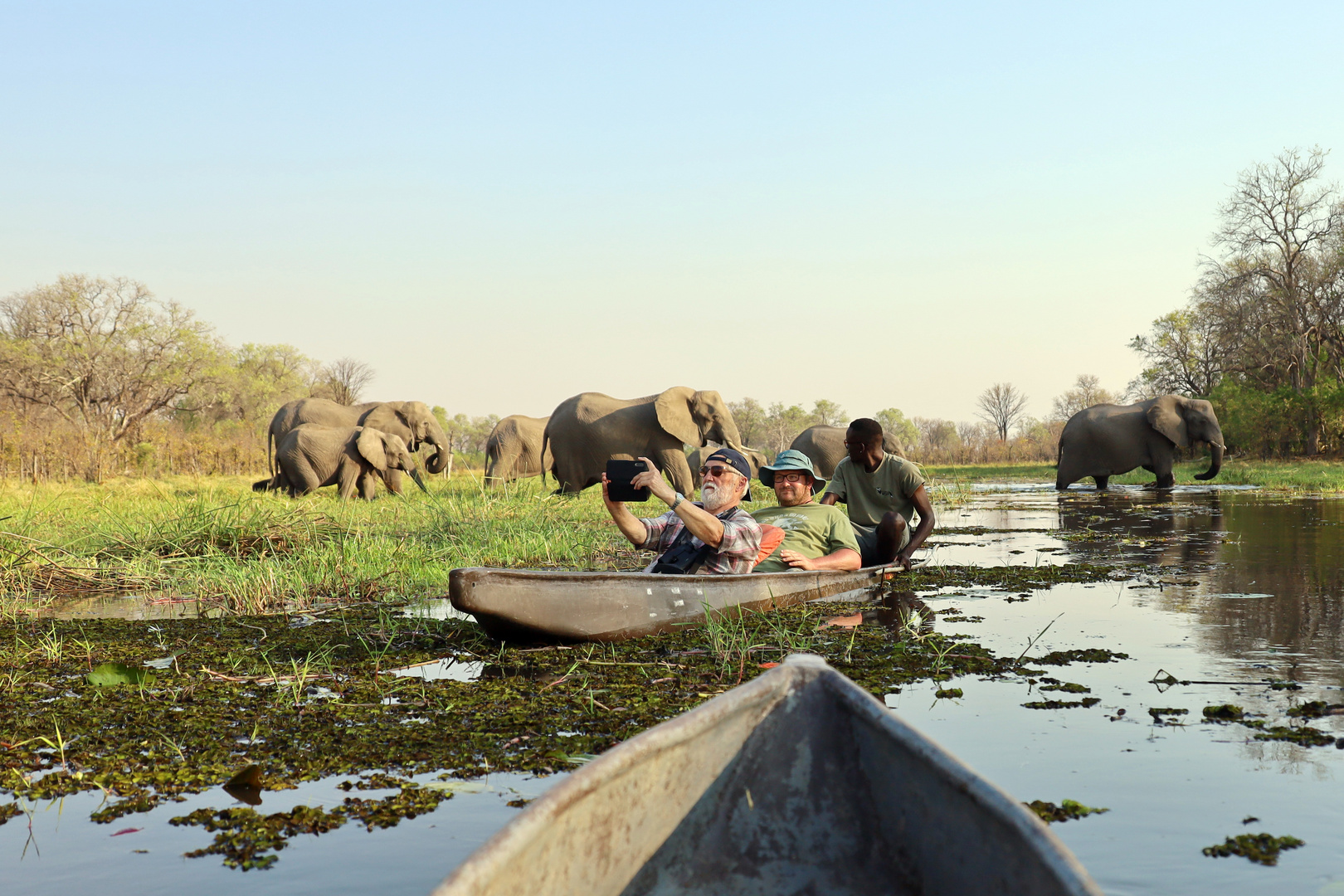 Im Mokoro über den Okavango