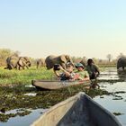 Im Mokoro über den Okavango