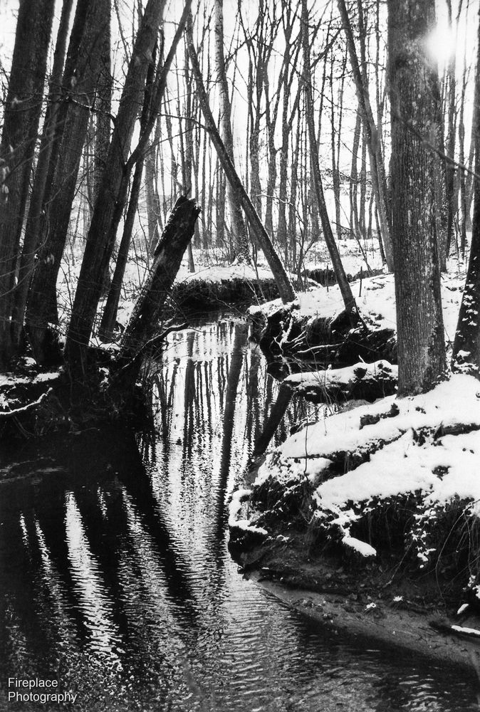 Im Moment mache ich eine nostalgische Reise zurück zum Schwarz-Weiß 