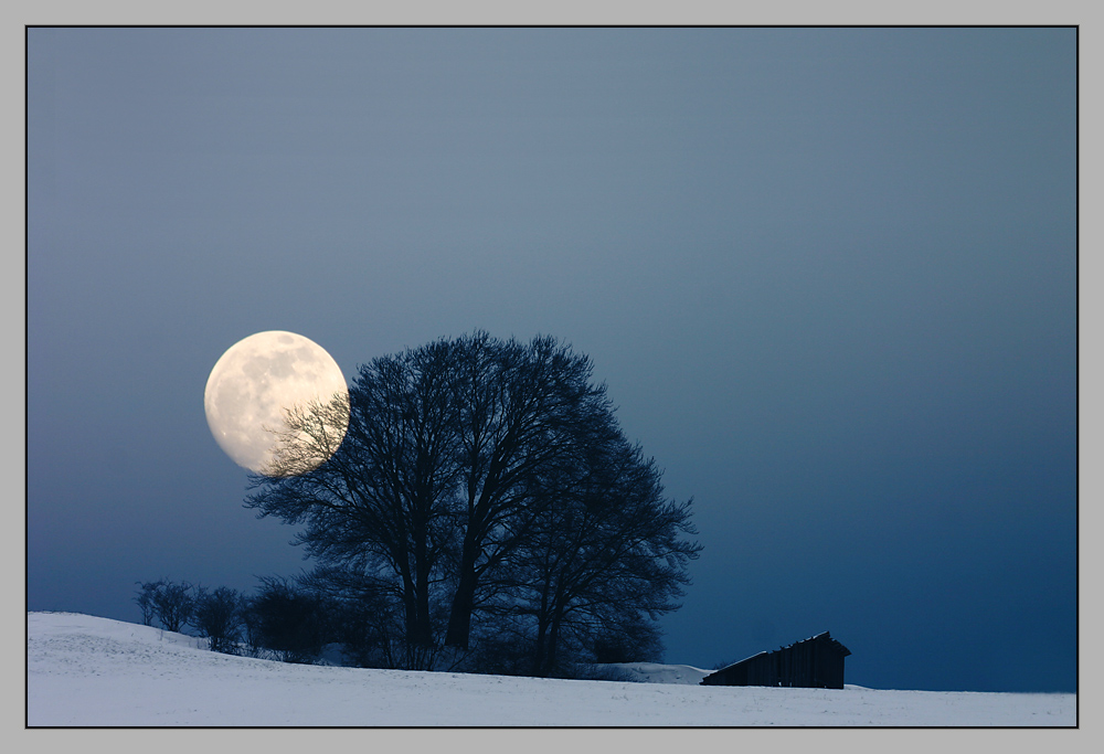 Im Mondschein... Foto & Bild | winter, schnee, composing Bilder auf ...