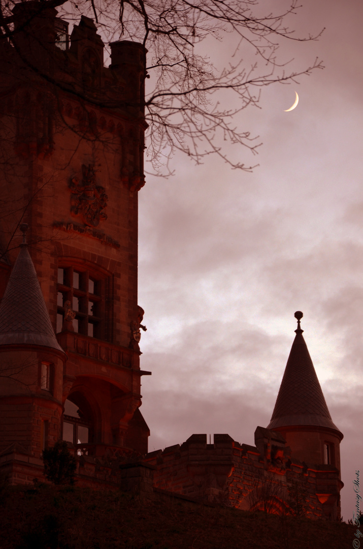 Im "Mondschein" - Schloss Drachenburg - Königswinter