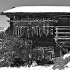 Im Montafon oberhalb Bartholomäberg . . .