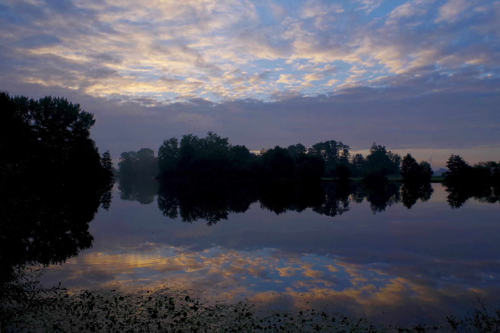 im Moor Foto & Bild landschaft, sonstiges, moor Bilder auf