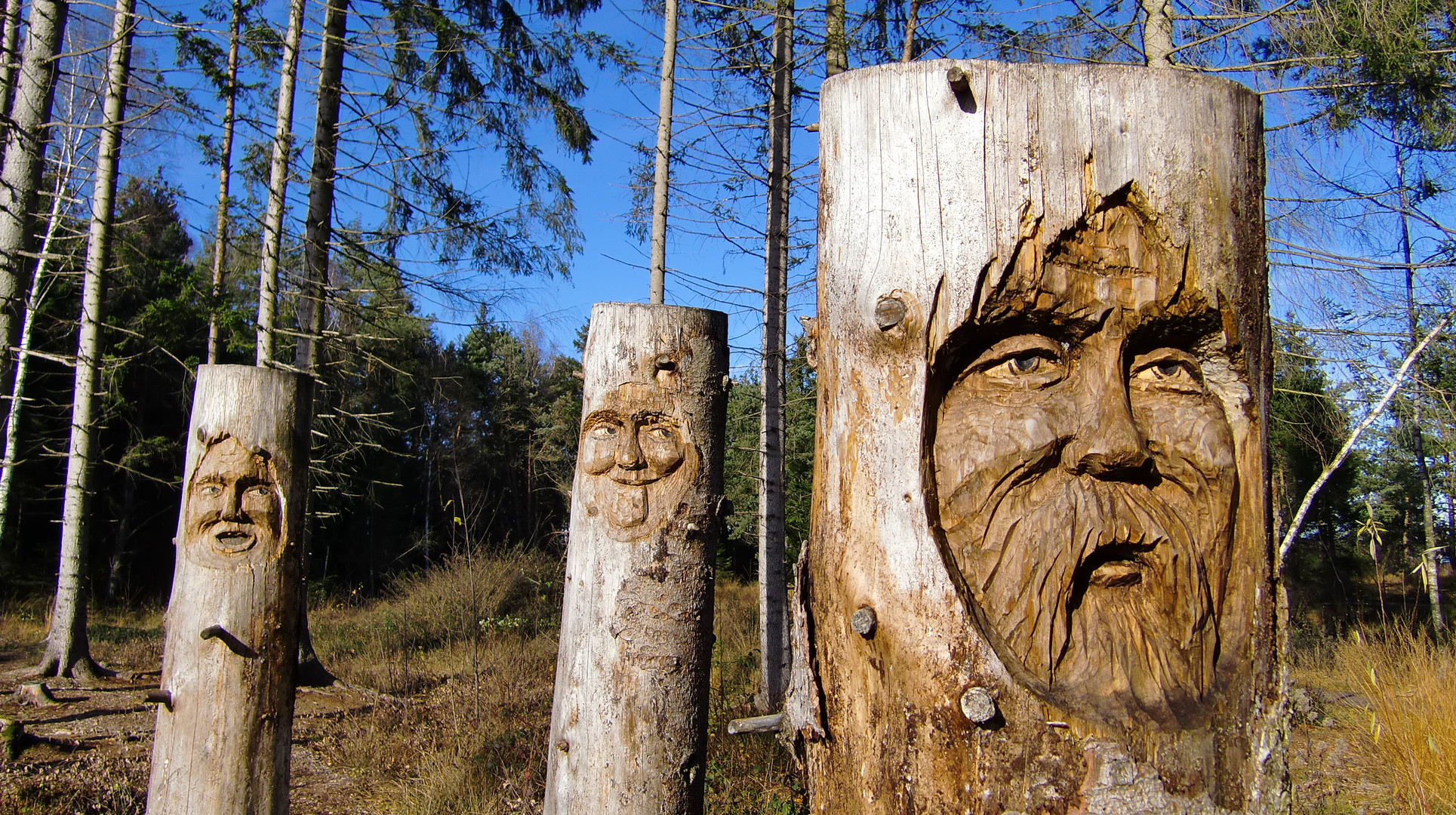 Im Moor bei Bad Feilnbach