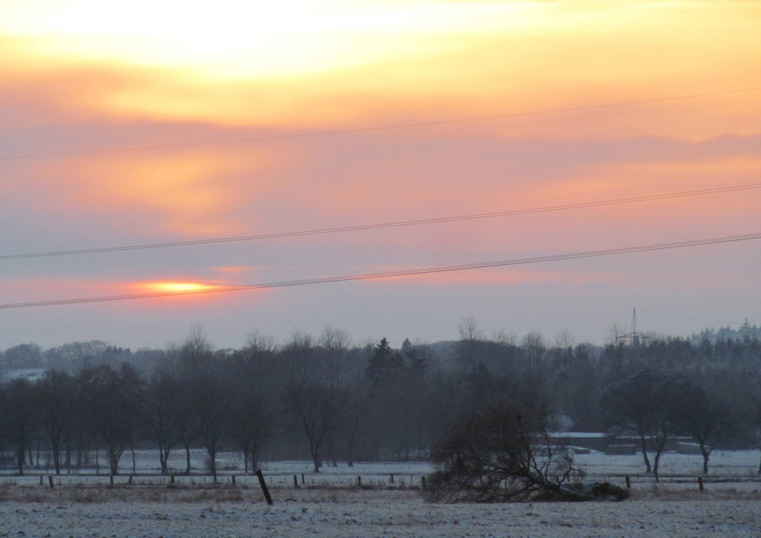 im Moor bei Sonnenuntergang ... 