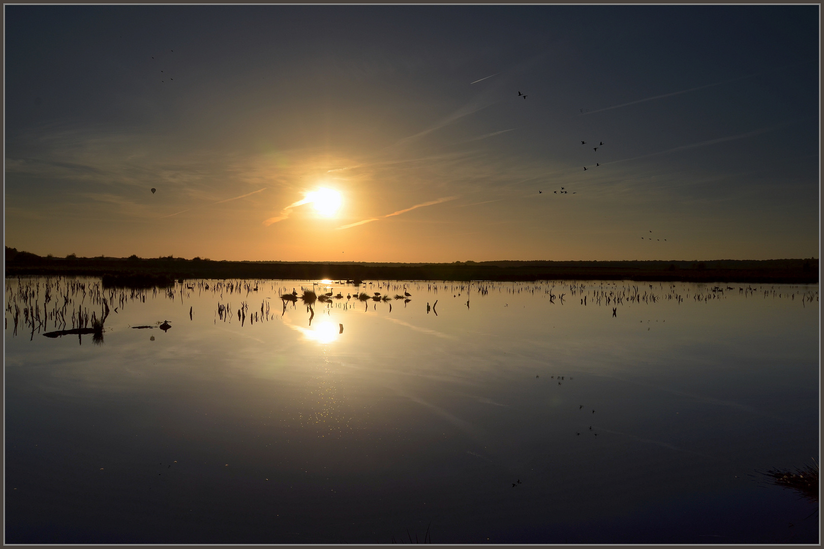 Im Moor gegen die Abendsonne