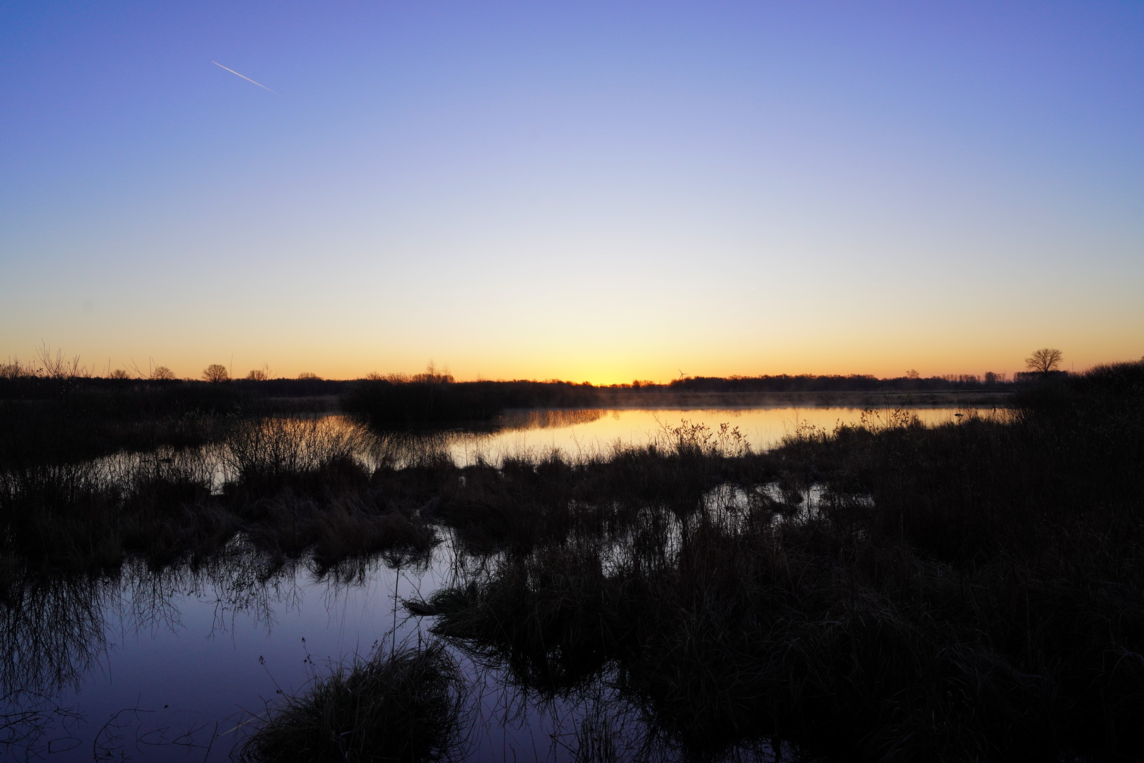 Im Moor: Sonnenaufgang im Gegenlicht