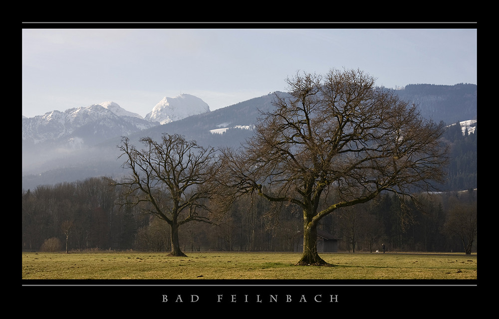 im moos von au - bad feilnbach