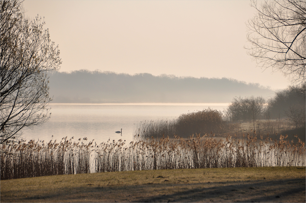 im MORGEN - NEBEL -2-