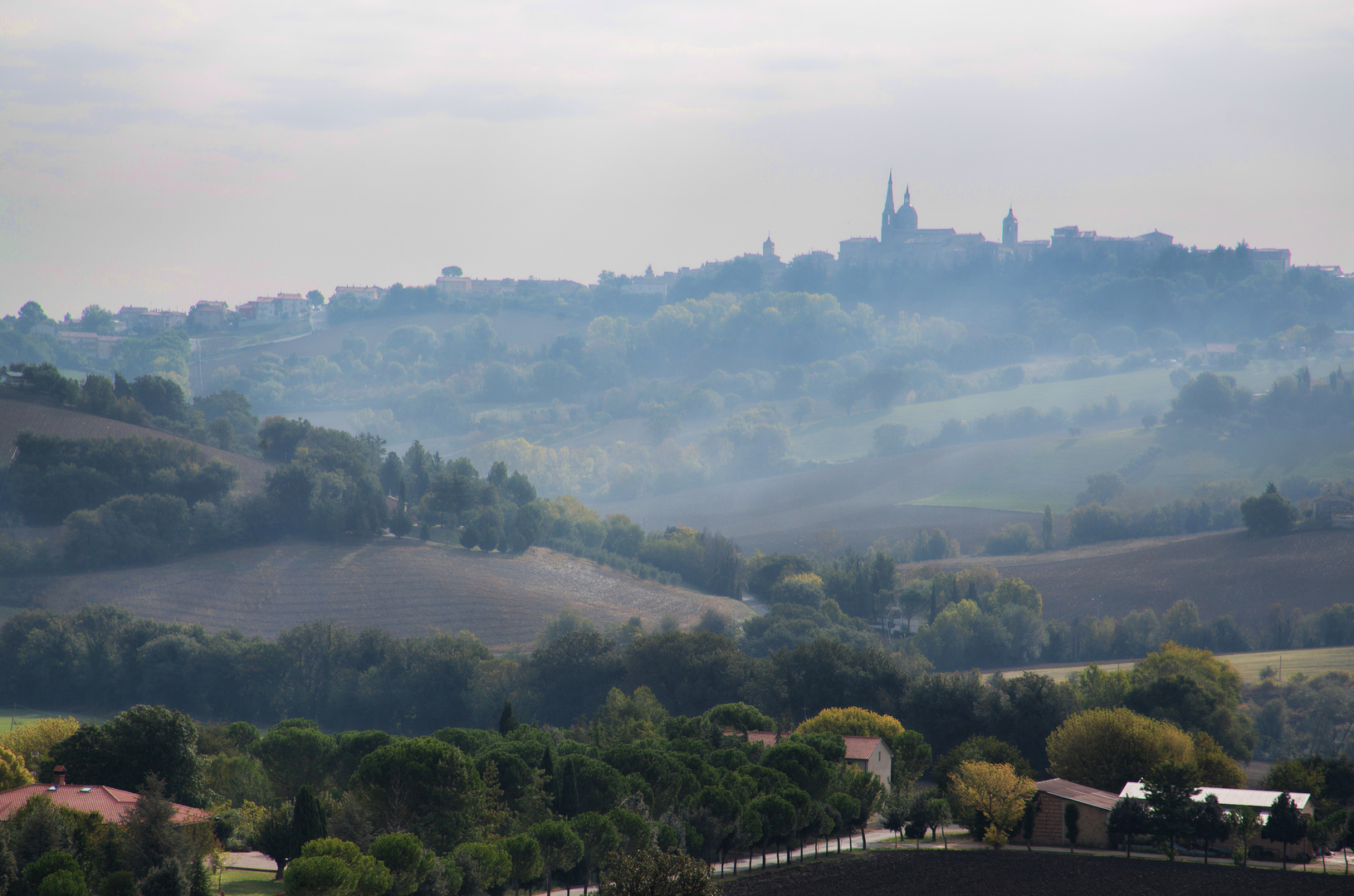 im Morgendunst - Blick auf Ostra Vetere ( Dom)