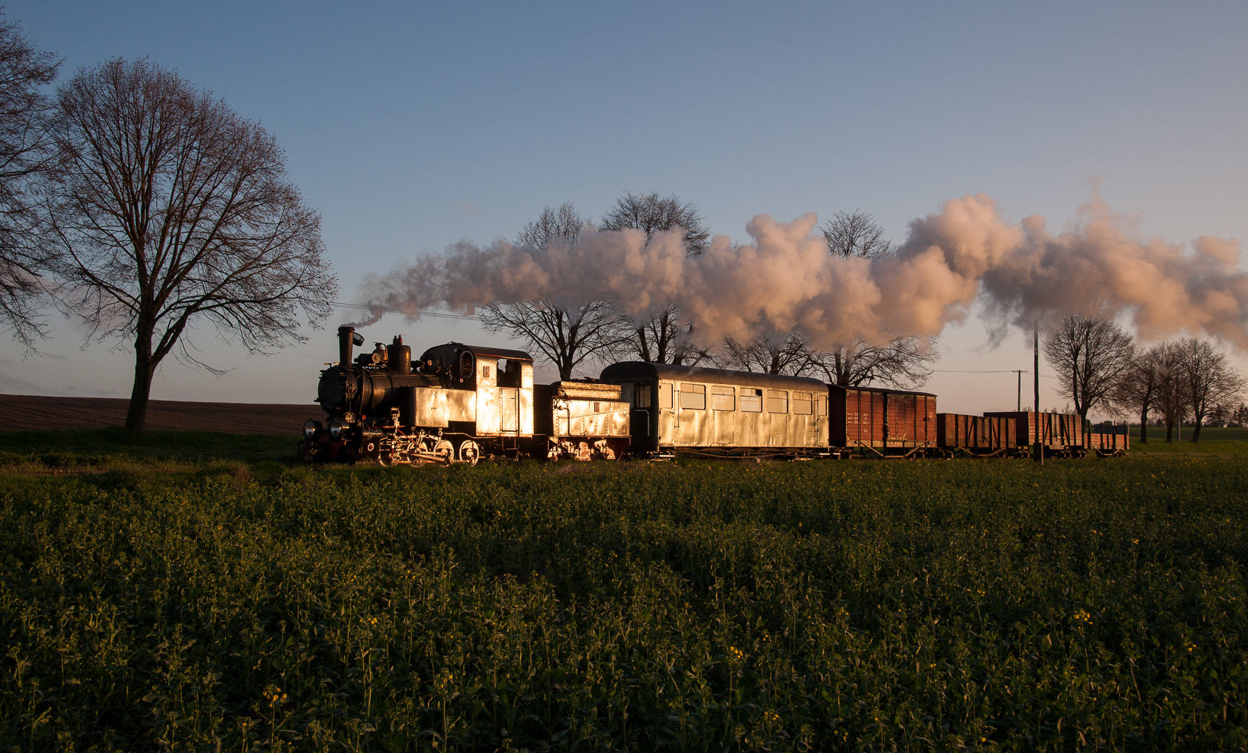 Im Morgenglint nach Gasawa