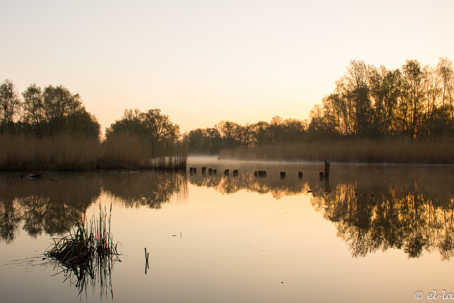 im Morgengrauen 2