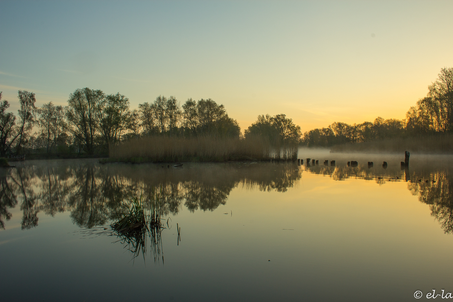 im Morgengrauen 4