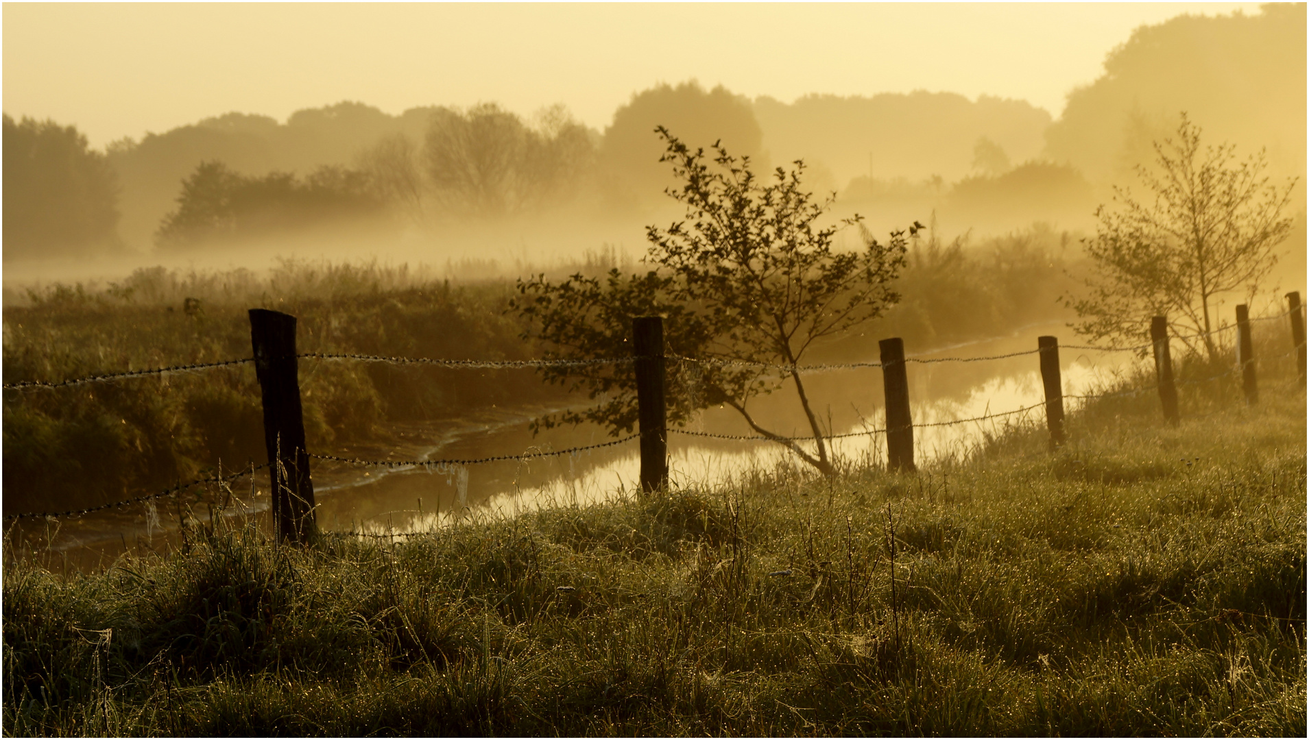 im Morgengrauen