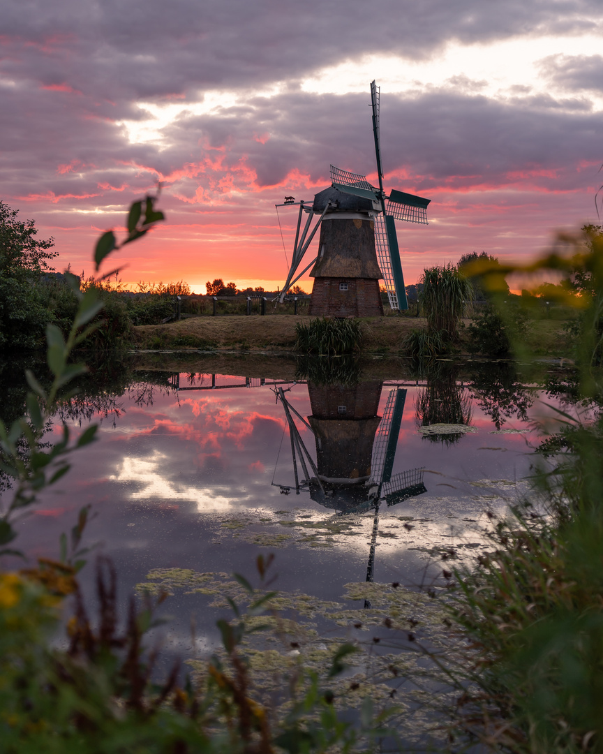 Im Morgengrauen an der Windmühle