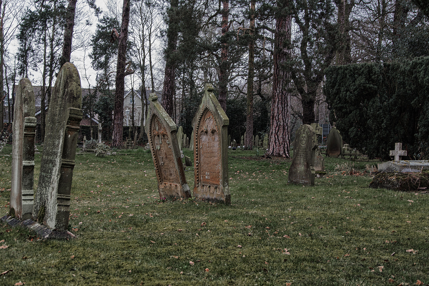 Im Morgengrauen auf dem Friedhof vorbei schauen....