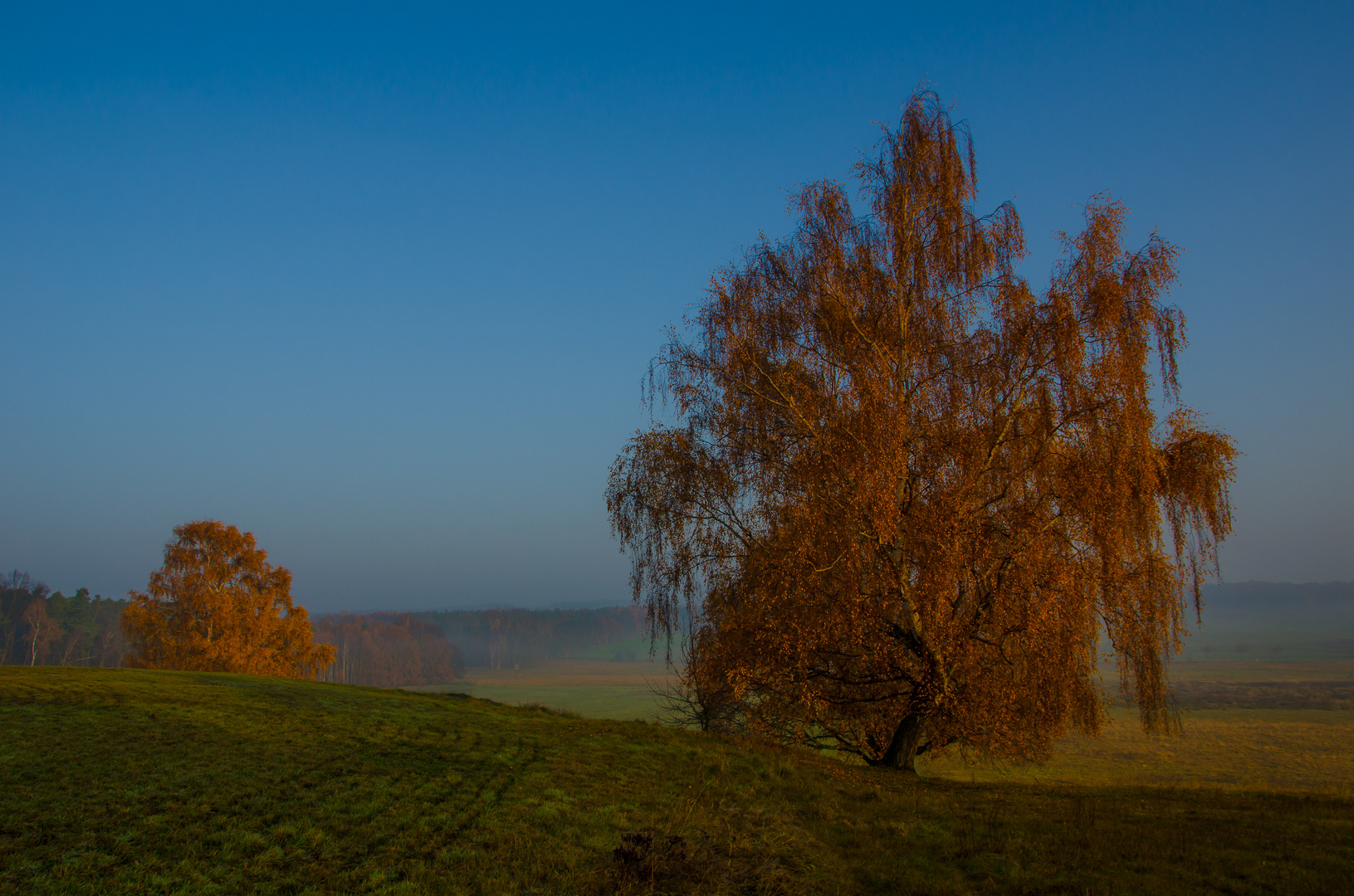 Im Morgenlicht