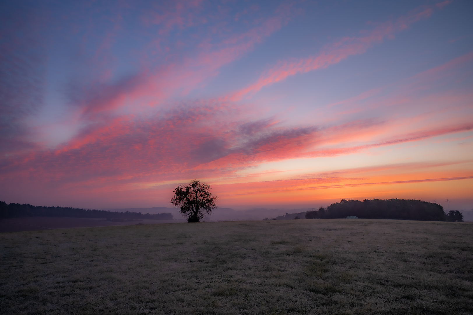 Im Morgenlicht